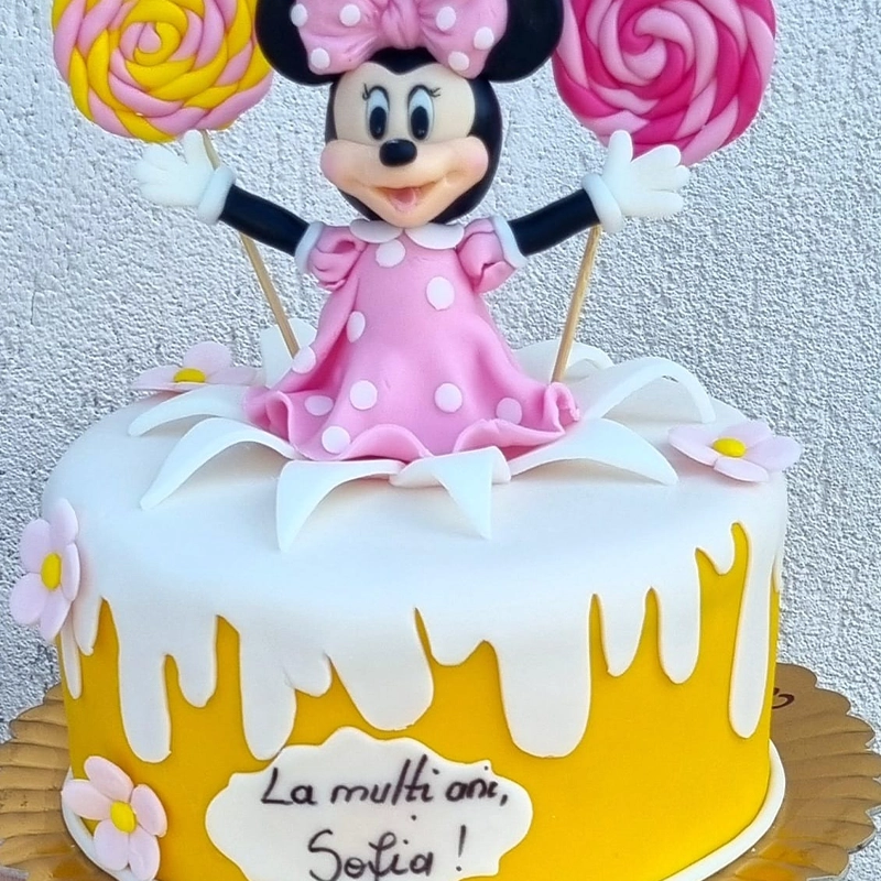 torturi cakeshop brasov personalizate la comanda (18)